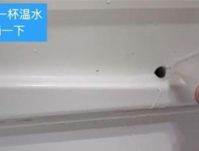 防止冰箱排水孔结冰的方法（解决冰箱排水孔结冰问题的实用技巧）