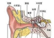 热水器出现回音是什么原因？如何快速解决？