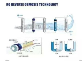 选择适合你的打印机类型，提升工作效率（如何根据需求选择适合自己的打印机设备）