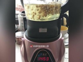 如何合理处理破壁机豆浆豆渣（解决破壁机豆浆豆渣问题的方法和技巧）