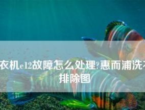 惠而浦洗衣机故障代码E2的处理方法（详细原因分析与故障解决方案）