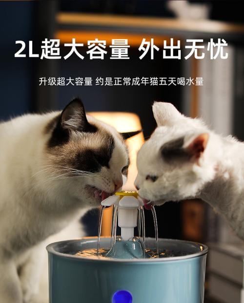 解决猫咪饮水机问题的维修方法（如何修复猫咪饮水机的常见故障）  第3张