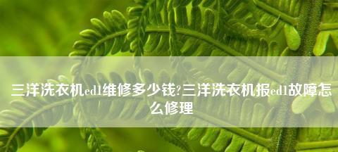 三洋洗衣机显示ED1故障维修方法（解决三洋洗衣机ED1故障的简易步骤）  第2张