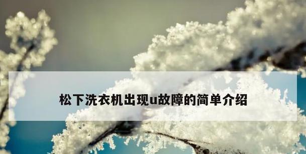 探究松下洗衣机历史报错代码及解决方法（解析松下洗衣机历史报错代码）  第2张