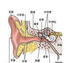 热水器出现回音是什么原因？如何快速解决？  第1张